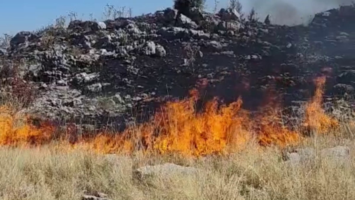 Adıyaman'da Yangın Paniği